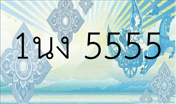 1นง 5555